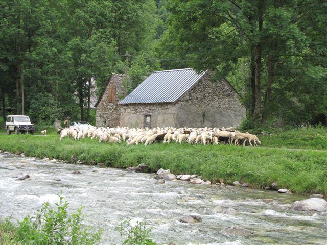 Auberge Les Myrtilles Couflens Exterior foto